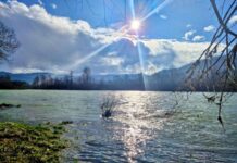 Internet i slobodno vreme: Kako se menjaju navike građana?