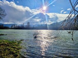Internet i slobodno vreme: Kako se menjaju navike građana?