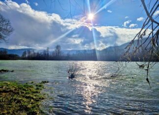Internet i slobodno vreme: Kako se menjaju navike građana?