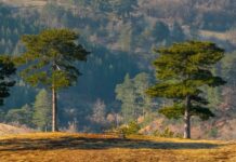 U duhu tradicije i savremenog odmora VASKRS NA ZLATIBORU