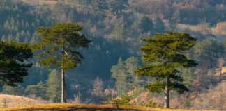 U duhu tradicije i savremenog odmora VASKRS NA ZLATIBORU