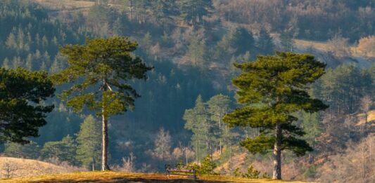 U duhu tradicije i savremenog odmora VASKRS NA ZLATIBORU