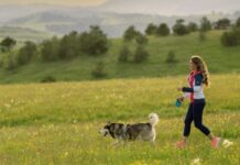 Na odmor sa ljubimcima ZLATIBOR nudi brojne sadržaje