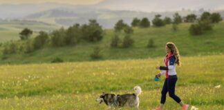Na odmor sa ljubimcima ZLATIBOR nudi brojne sadržaje