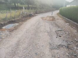 Put Visibaba Ševarice oštećen Obraćali se svima, niko ne rešava